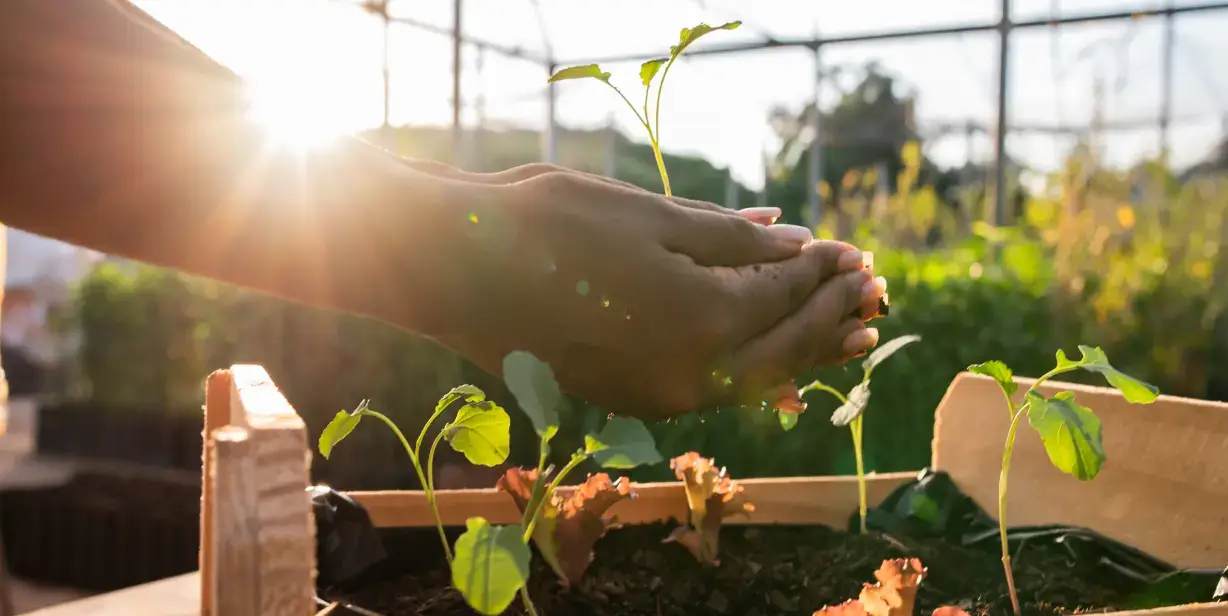 Composting reduces waste
